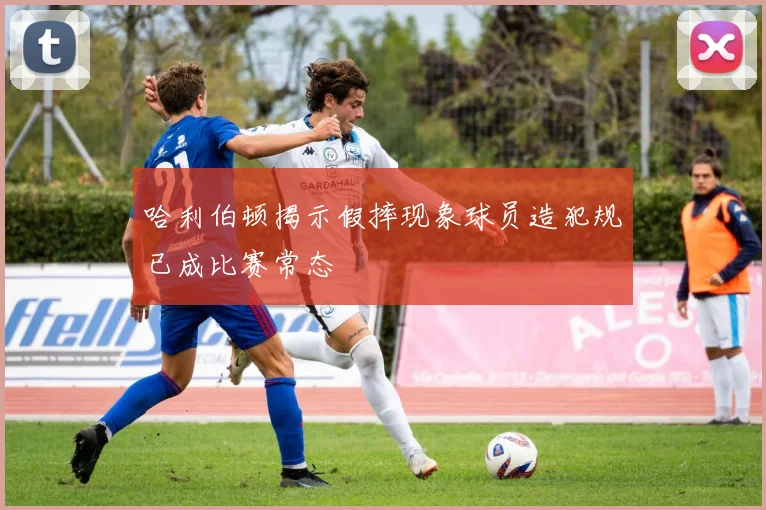 哈利伯顿揭示假摔现象球员造犯规已成比赛常态